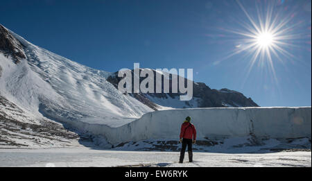 Man looks at the Suess Glacier in the Taylor Valley, Antarctica. Stock Photo