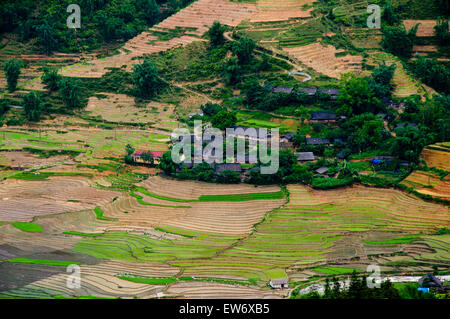 Terraced rice field in Sapa, Vietnam Stock Photo