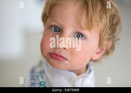 Little boy, portrait Stock Photo