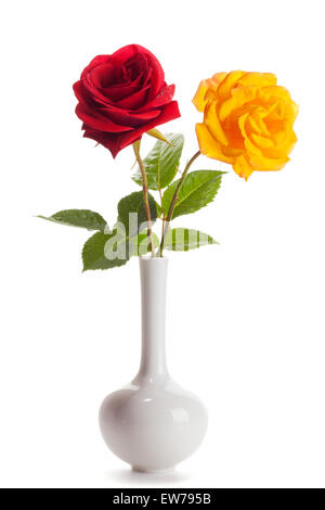 red and yellow roses in white vase isolated Stock Photo