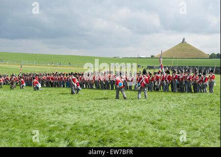 Lions Mound, Waterloo, Belgium. 19th June, 2015. Preparations begin for the massive reenactment of the Battle of Waterloo taking place over two days alongside the original battlefield with combatants in authentic period military costume. The French Napoleonic attack takes place on the evening of 19th June and the Allied counterattack on the 20th June 2015 in possibly the largest military reenactment ever held. Credit:  Malcolm Park editorial/Alamy Live News Stock Photo