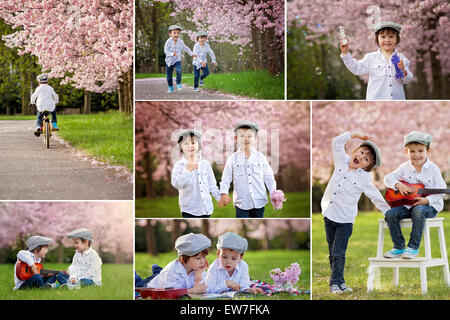 Collage of pictures of two adorable caucasian boys in a blooming cherry tree garden, spring afternoon, reading a book, playing g Stock Photo