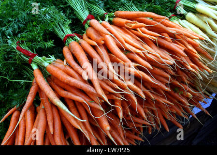 Fresh carrots in bundles. Stock Photo