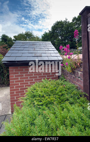 Wild pink antirrhinum growing out of an old brick red wall Stock Photo