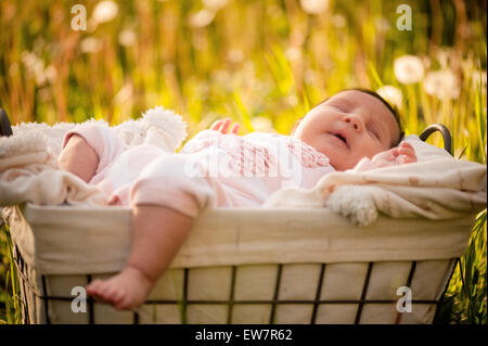 Baby girl sleeping in a basket in a crocus field Stock Photo