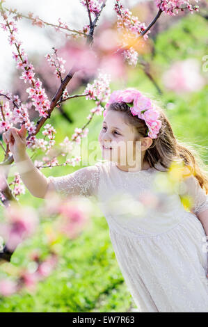 Girl standing in peach tree orchard Stock Photo