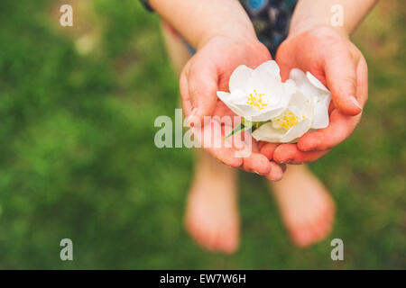 Boy holding white flower blossoms in his hand Stock Photo