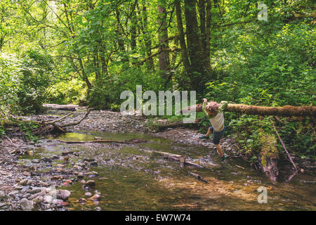 Boy hanging on a branch hanging over a river, USA