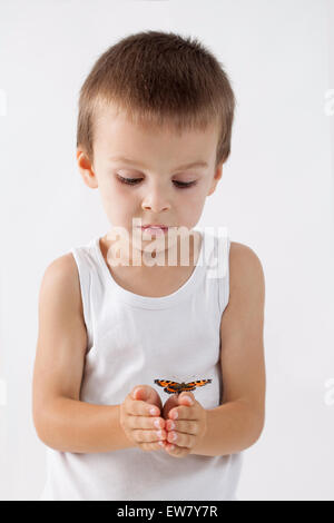 Little boy, holding butterfly, studio shot, isolated white background, focus on butterfly Stock Photo