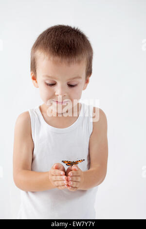 Little boy, holding butterfly, studio shot, isolated white background Stock Photo