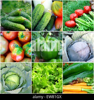 Healthy food background - collection with color vegetables Stock Photo