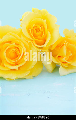 Beautiful yellow roses, the symbol of love and friendship, on rustic shabby chic pale blue aqua wood table. Stock Photo