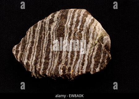 Foliated gneiss, Maryland, a metamorphic rock Stock Photo