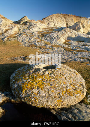 Anglesey conglomerate millstone lying above Bwa Gwyn (White Arch), a sea arch of white quartzite/feldspar NE of Rhoscolyn Head in the Anglesey Geopark Stock Photo