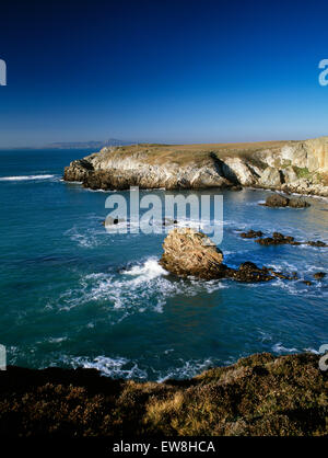 Looking NW from Isle of Anglesey Coastal Path near Rhoscolyn Head over the detached folded rock stack & coloured cliffs of Porth Saint (St Gwenfaen). Stock Photo