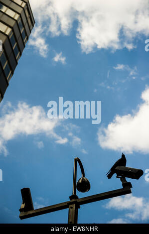 A crow sits on top of a CCTV security camera in central london Stock Photo