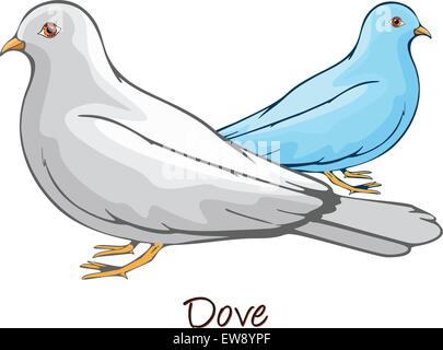 Dove, Pair, Color Illustration Stock Vector