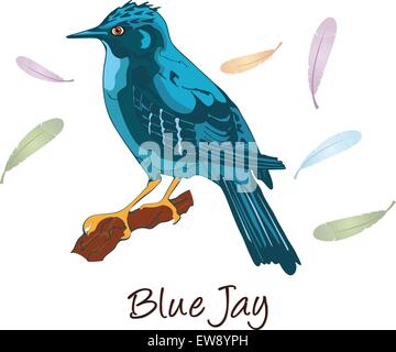 Blue Jay Animal Vector Illustration Hand Drawn Cartoon Art Royalty Free  SVG, Cliparts, Vectors, and Stock Illustration. Image 132620300.