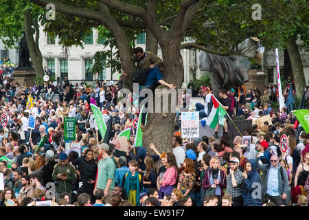 London, UK. 20th June 2015. Thousands of people converge on the streets of London to join the People's Assembly Against Austerity's march from the Bank of England to Parliament Square. Young men scramble up a tree in Parliament Square as they try to find a vantage point to listen to the speakers at the post-march rally. © Paul Davey/Alamy Live News  Credit:  Paul Davey/Alamy Live News Stock Photo