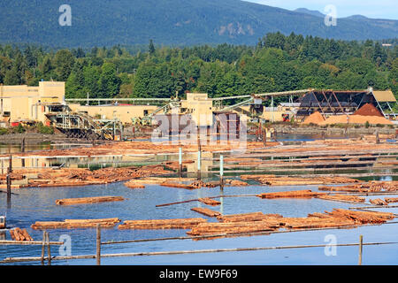 Western Forest products cedar sawmill, Chemainus, Vancouver Island, British Columbia Stock Photo