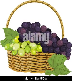 Vector illustration of fresh ripe grapes in basket. Stock Vector