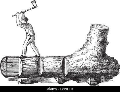 How a Tree is Made into Lumber - lumberjack cutting a tree trunk into rectangular sections, vintage engraved illustration. Le Ma Stock Vector