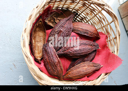 dried cocoa pods close up Stock Photo