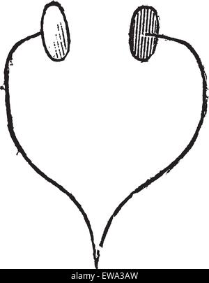 Wheatstone's Microphone, vintage engraved illustration.Trousset encyclopedia (1886 - 1891). Stock Vector