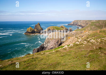 Coastal scenery near Kynance Cove, Lizard Peninsula, Cornwall, England, UK Stock Photo