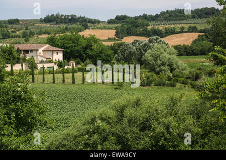 View from country lane of typical Tuscany scene of rural house and vineyards, near Castellina in Chianti, a famous region known Stock Photo