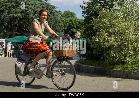 Woman rides her bicycle with her dog in the basket. Stock Photo