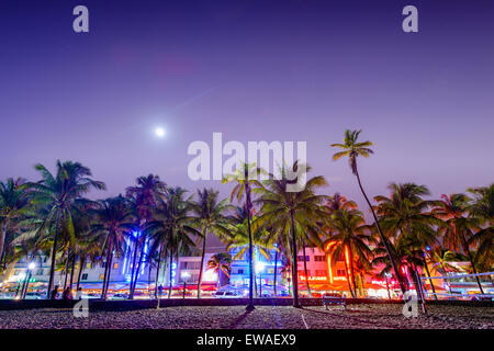 Palm trees line Ocean Drive. The road is the main thoroughfare through South Beach. Stock Photo