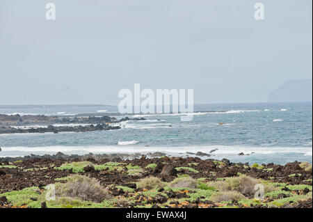 Fuerteventura, Canary Islands. Green bushes growing in the rocky beach, with a view of the sea on a sunny day with an island in Stock Photo