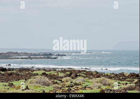 Fuerteventura, Canary Islands. Green bushes growing in the rocky beach, with a view of the sea on a sunny day with an island in Stock Photo