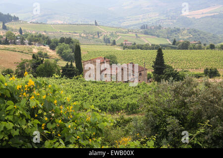 Vineyards and rolling hills in countryside of this famous region known for its chianti wine, near town 'Strada in Chianti' south Stock Photo