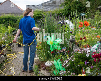 Garden Centre worker workman  watering plants using a hose. Stock Photo