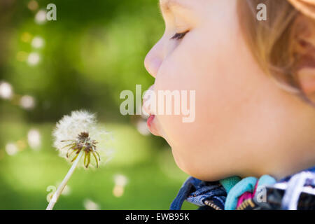 Caucasian blond baby girl blows on a dandelion flower in a park, selective focus on lips Stock Photo