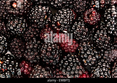 Abundance of fresh picked blackberries close up as background Stock Photo