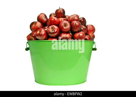 Bucket overflowing with red delicious apples isolated on white Stock Photo