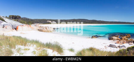 White sand and turquoise water on a beautiful beach along the Bay of Fires coast in north-east Tasmania, Australia Stock Photo