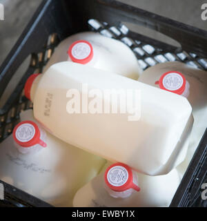 Milk container cooler hi-res stock photography and images - Page 2 - Alamy