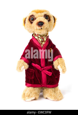 Meerkat toy hi res stock photography and images Alamy