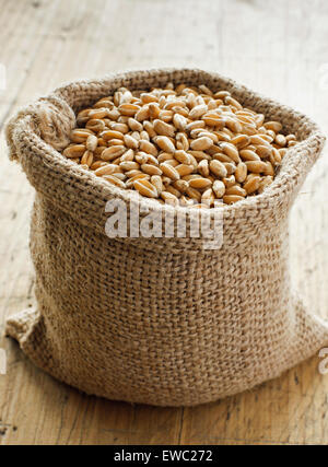 Wheat grain in small canvas sacks Stock Photo