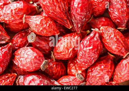 Pile of dried rose hips Stock Photo