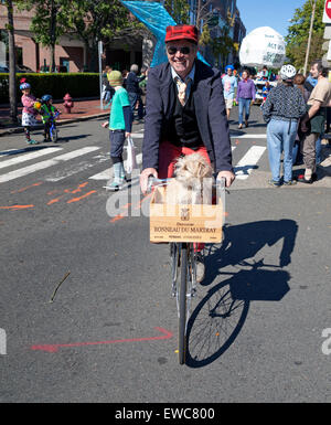 A man rides his bike with his dog in a wooden crate at the Honk Festival in Boston, Massachusetts, USA. Stock Photo