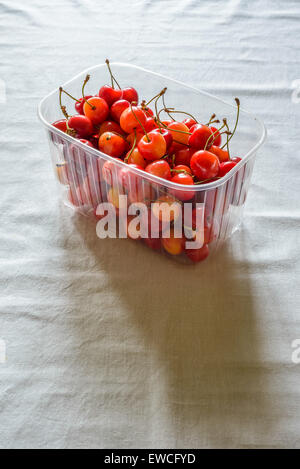 Morello cherries in a plastic crate on a white table linen Stock Photo