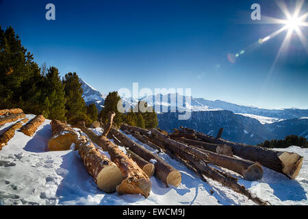 Sawn tree trunks in the snow in front of a panorama of snowy peaks on a bright sunny day in winter in Dolomites Alps Stock Photo