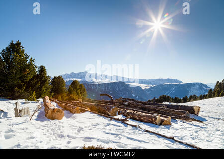 Sawn tree trunks in the snow in front of a panorama of snowy peaks on a bright sunny day in winter in Dolomites Alps Stock Photo