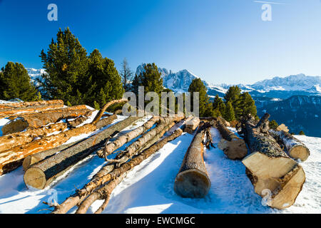 Sawn tree trunks in the snow in front of a panorama of snowy peaks on a bright sunny day in winter in Dolomites Alps Stock Photo