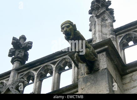 Gargoyle Spout at the Inner courtyard (Pandhof) of the Gothic Dom church or St. Martin's Cathedral, Utrecht, The Netherlands Stock Photo